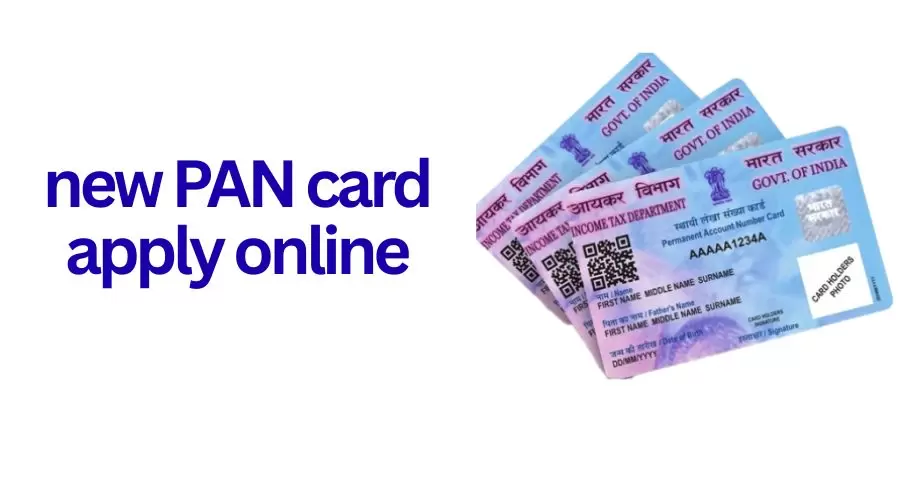 Complete Guide to Apply Online for Your New PAN Card